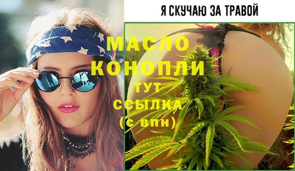молекула духа Богородск