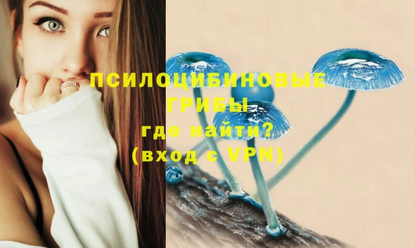 прущие крисы Богородицк