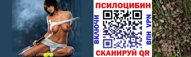 Купить  Славгород  Галлюциногенные грибы мухоморы 